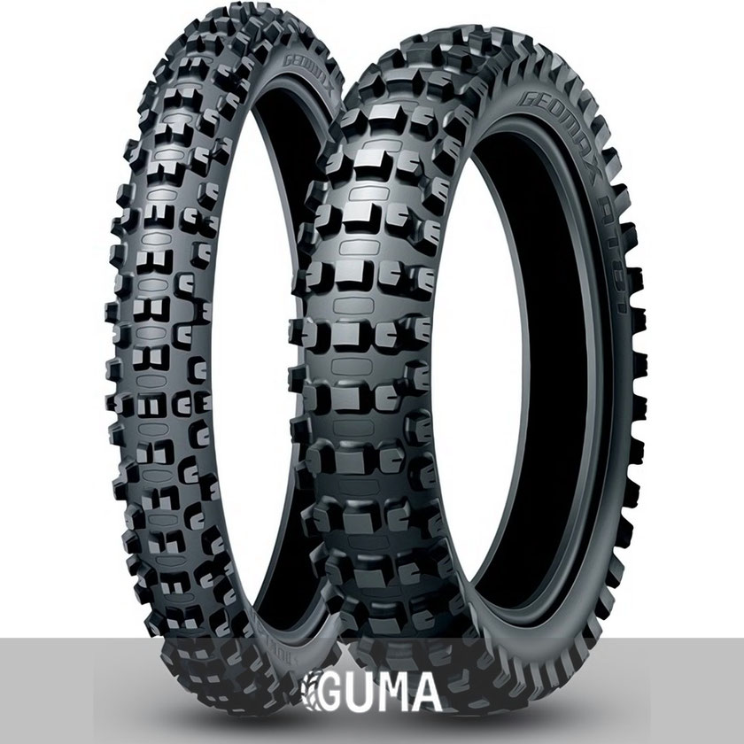 Купити шини Dunlop Geomax AT81 110/90-19 62M